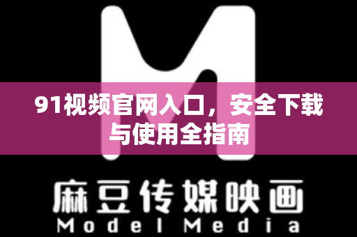 91视频官网入口，安全下载与使用全指南