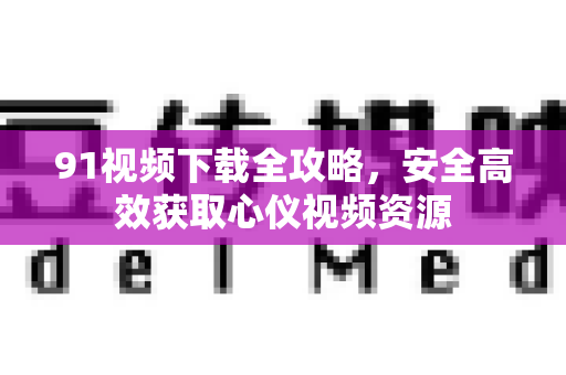 91视频下载全攻略，安全高效获取心仪视频资源